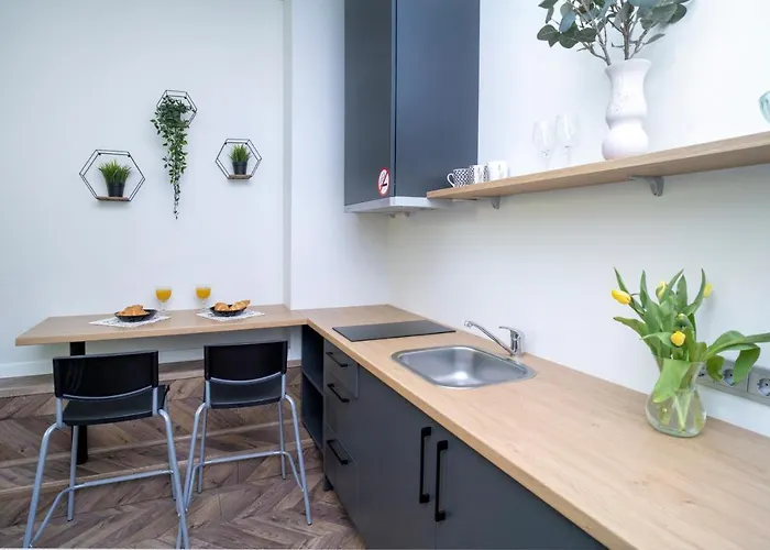 House 22a 3* קובנה